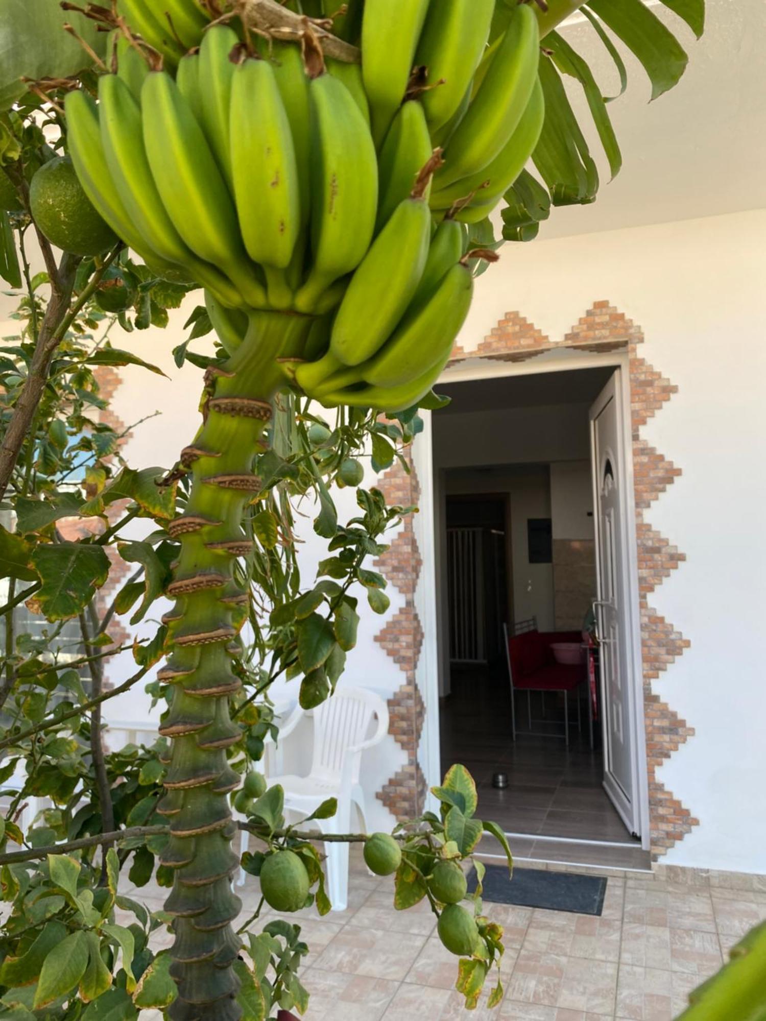 Tassos-Haus Villa Archangelos  Eksteriør billede